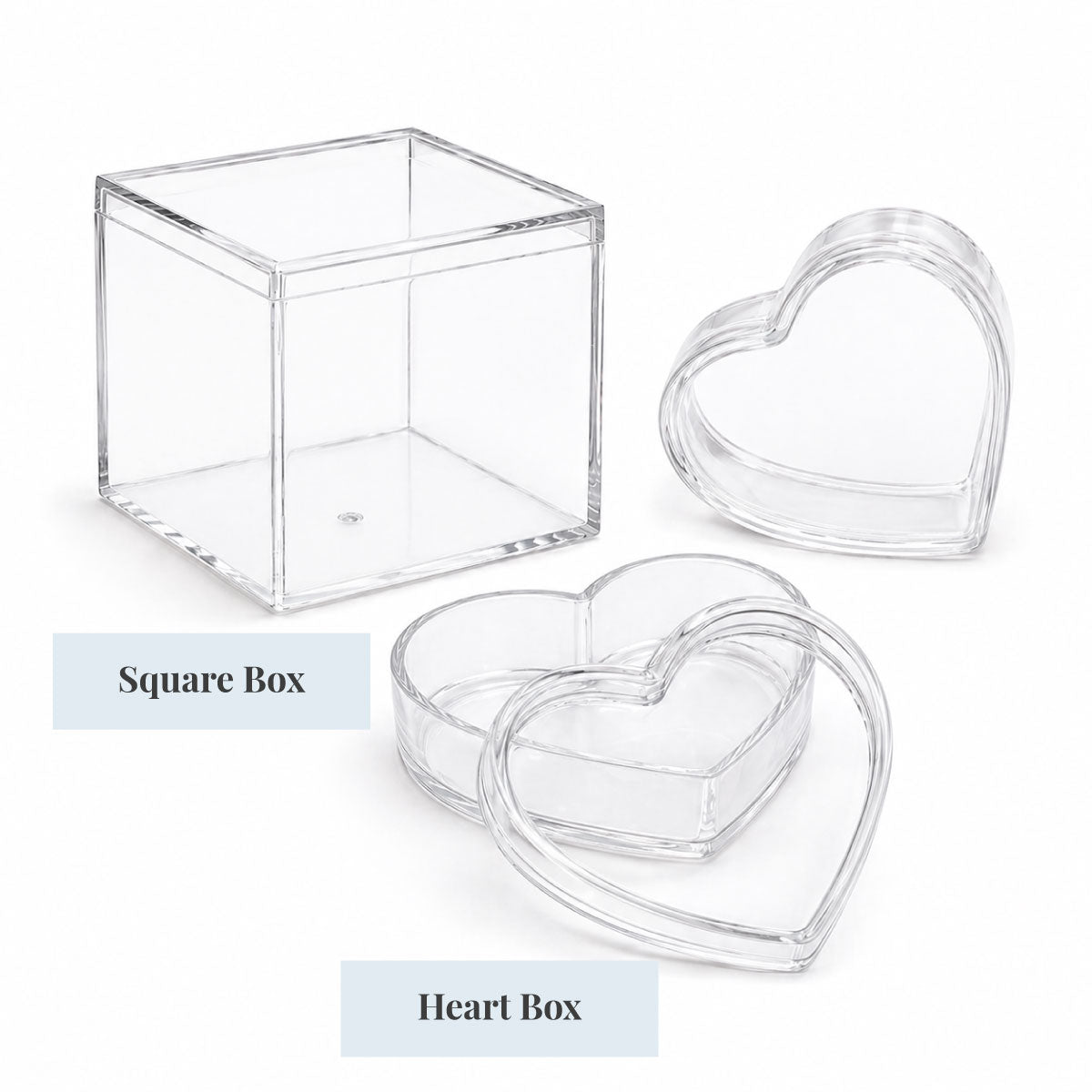 We Can Bearly Wait Personalized Favor Box (Set of 10)
