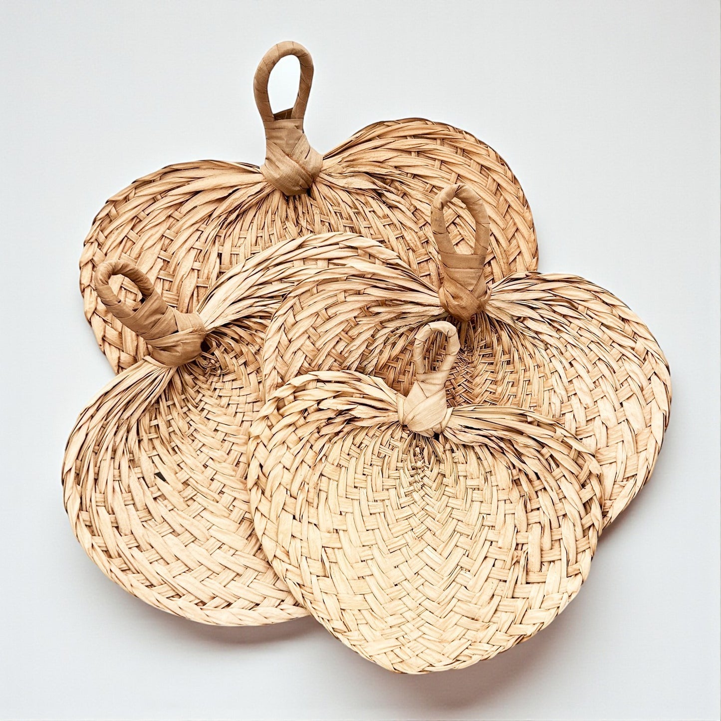 Raffia Natural Fans - Party Supplies - 10 Pieces