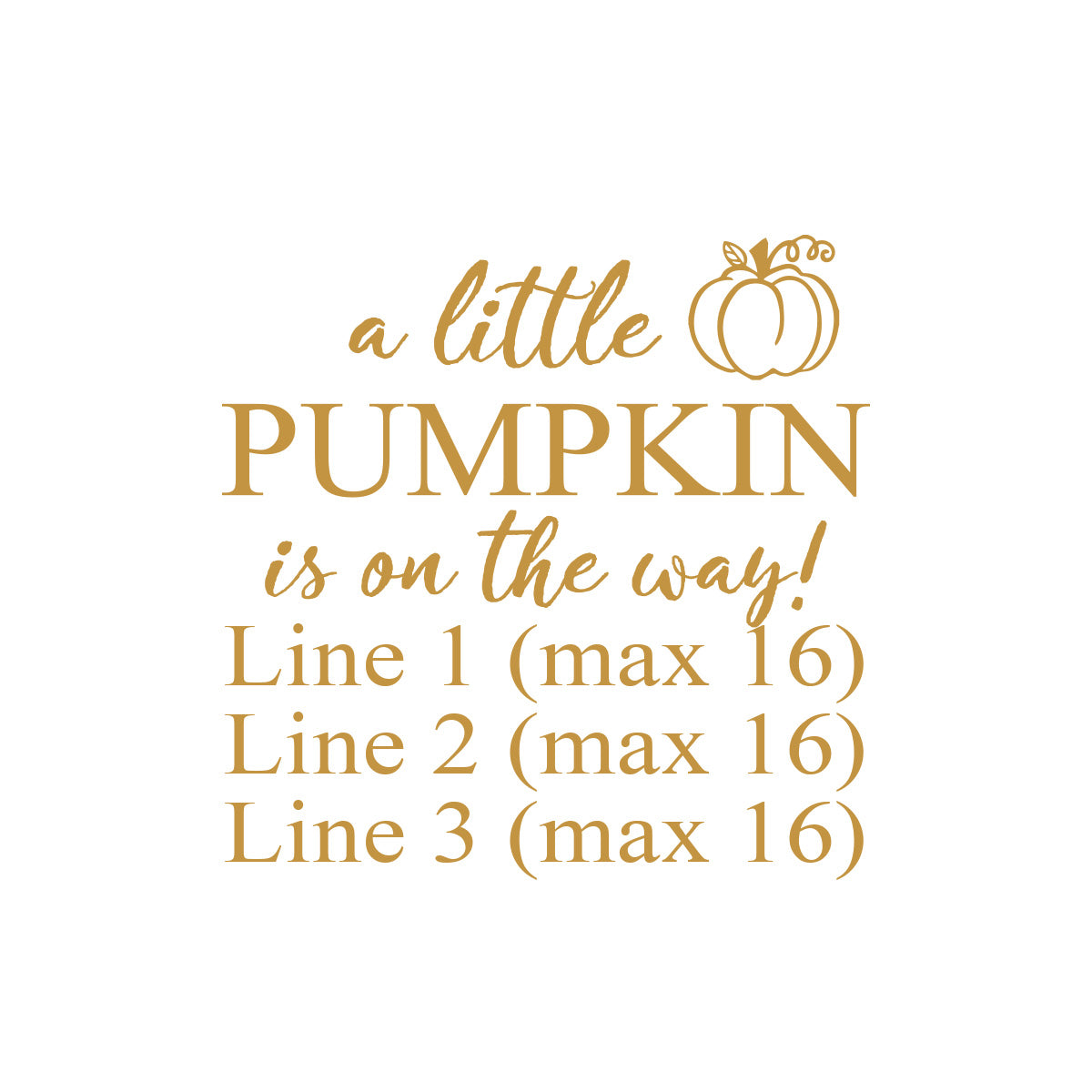 A Little Pumpkin Is On The Way Personalized Beer Glass (Set of 18)